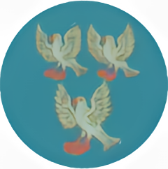 plovers_blue_240x242